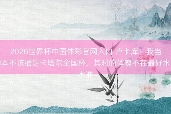 2026世界杯中国体彩官网入口 卢卡库：我当初本不该插足卡塔