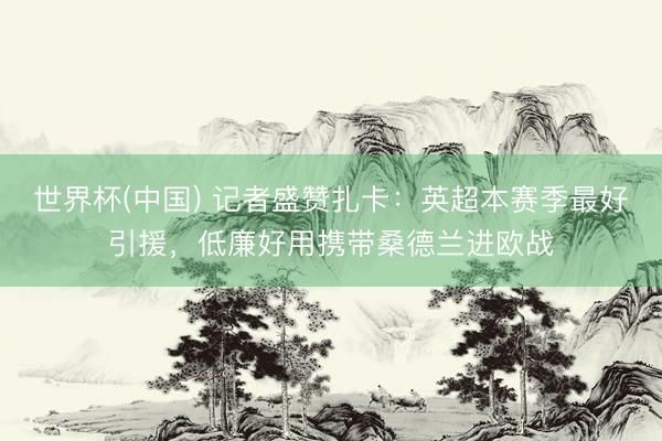 世界杯(中国) 记者盛赞扎卡：英超本赛季最好引援，低廉好用携带桑德兰进欧战