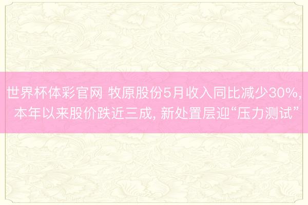 世界杯体彩官网 牧原股份5月收入同比减少30%， 本年以来股价跌近三成， 新处置层迎“压力测试”