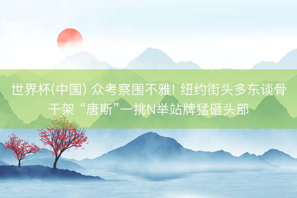 世界杯(中国) 众考察围不雅! 纽约街头多东谈骨干架 “唐斯”一挑N举站牌猛砸头部