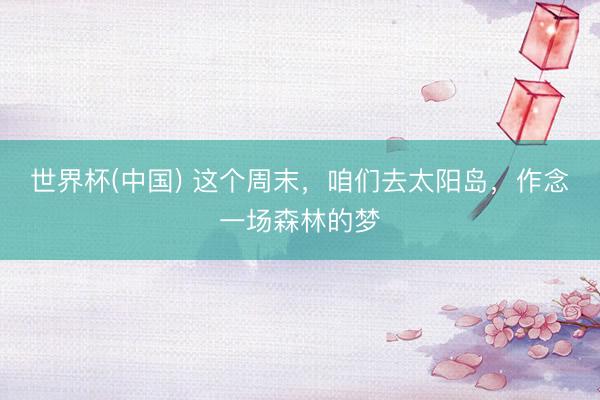 世界杯(中国) 这个周末，咱们去太阳岛，作念一场森林的梦
