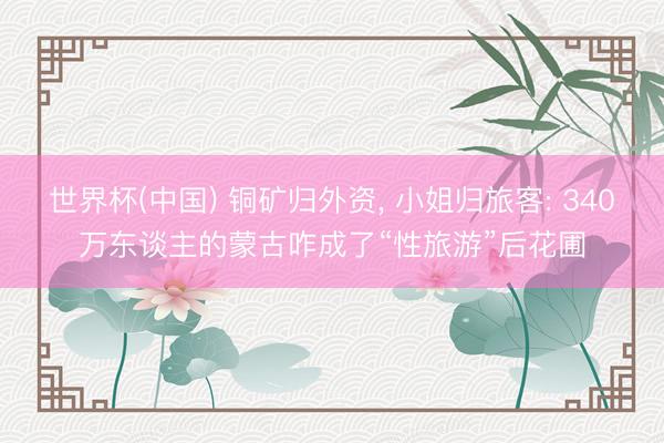 世界杯(中国) 铜矿归外资， 小姐归旅客: 340万东谈主的蒙古咋成了“性旅游”后花圃