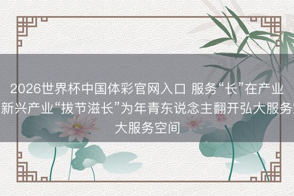 2026世界杯中国体彩官网入口 服务“长”在产业上 | 新兴产业“拔节滋长”为年青东说念主翻开弘大服务空间