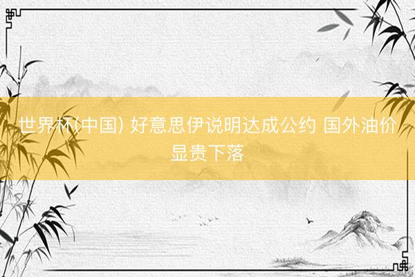 世界杯(中国) 好意思伊说明达成公约 国外油价显贵下落