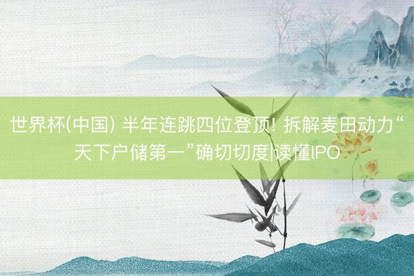 世界杯(中国) 半年连跳四位登顶! 拆解麦田动力“天下户储第一”确切切度|读懂IPO