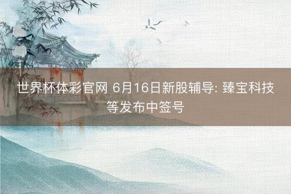 世界杯体彩官网 6月16日新股辅导: 臻宝科技等发布中签号
