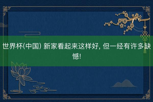 世界杯(中国) 新家看起来这样好， 但一经有许多缺憾!
