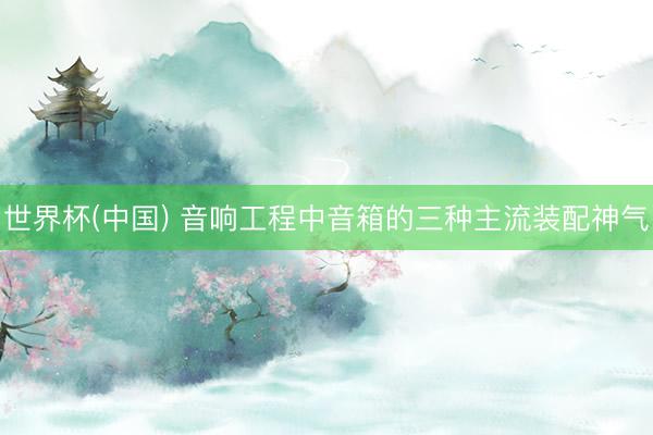 世界杯(中国) 音响工程中音箱的三种主流装配神气